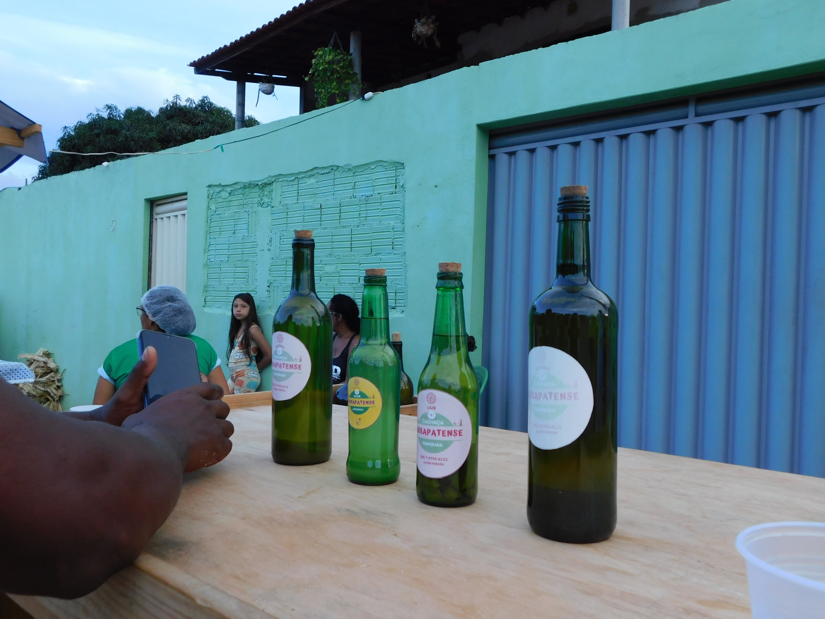 carrapatocultural.com 